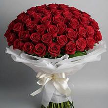 Букет 101 Красная роза Блэк Мэджик в Машково