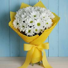 Букет цветов из:  Хризантемы #REPLACE_PRED# Машково