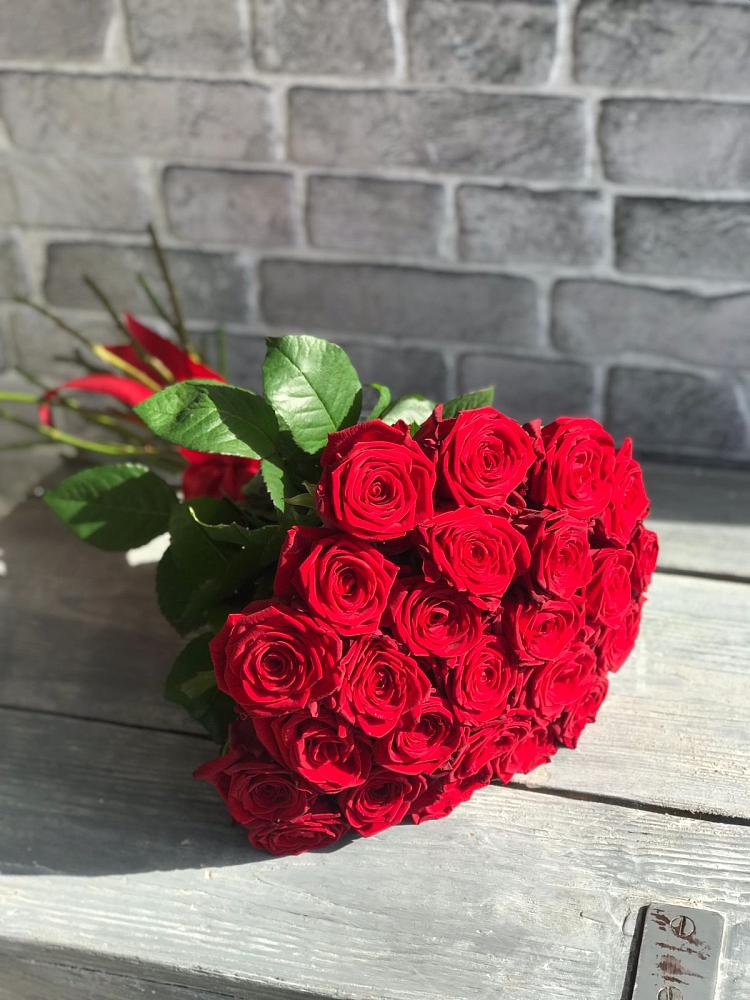 Букет Красные розы Фридом в Машково