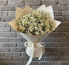 Букет цветов из:  Ромашки в Машково