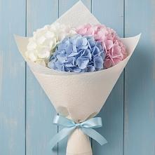 Букет цветов из:  Гортензия в Машково
