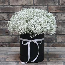Цветочная композиция из Гипсофила в шляпной коробке в Машково