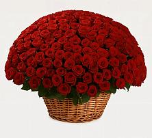 Премиум букет из: Розы в Машково